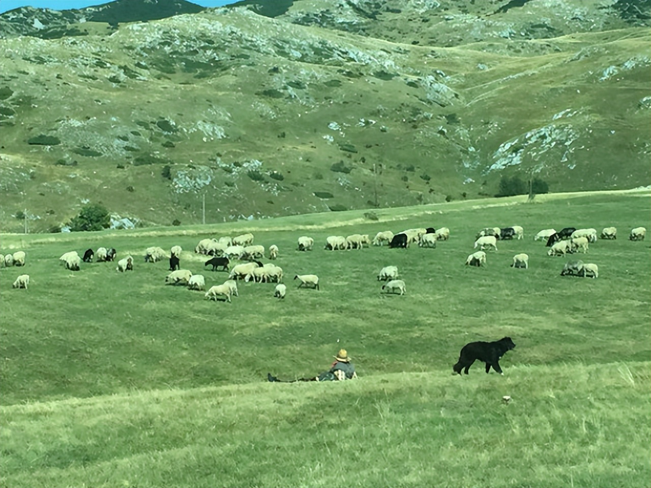 波黑地理环境,波黑原始森林