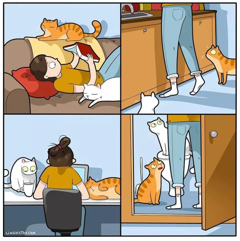 铲屎官和猫主子超级可爱的日常,喵星人与铲屎官一同成长记