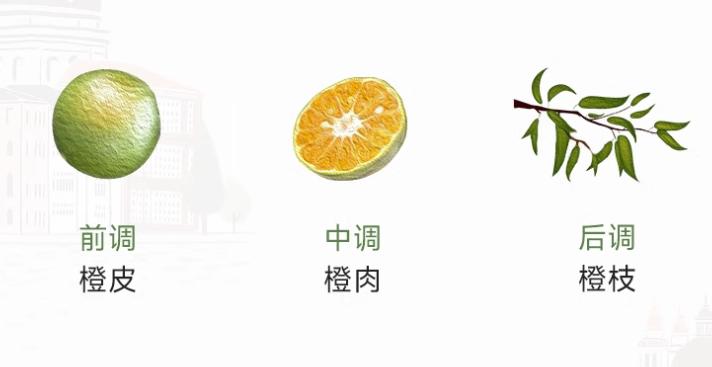 大牌橘子味香水留香久,适合夏天的清新淡香水推荐男士用