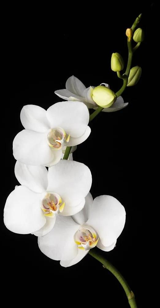 黑暗系壁纸黑底文字,黑暗色系的壁纸