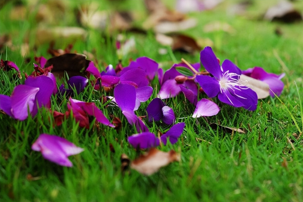 情侣之间分手正确处理方式,假分手怎么挽回