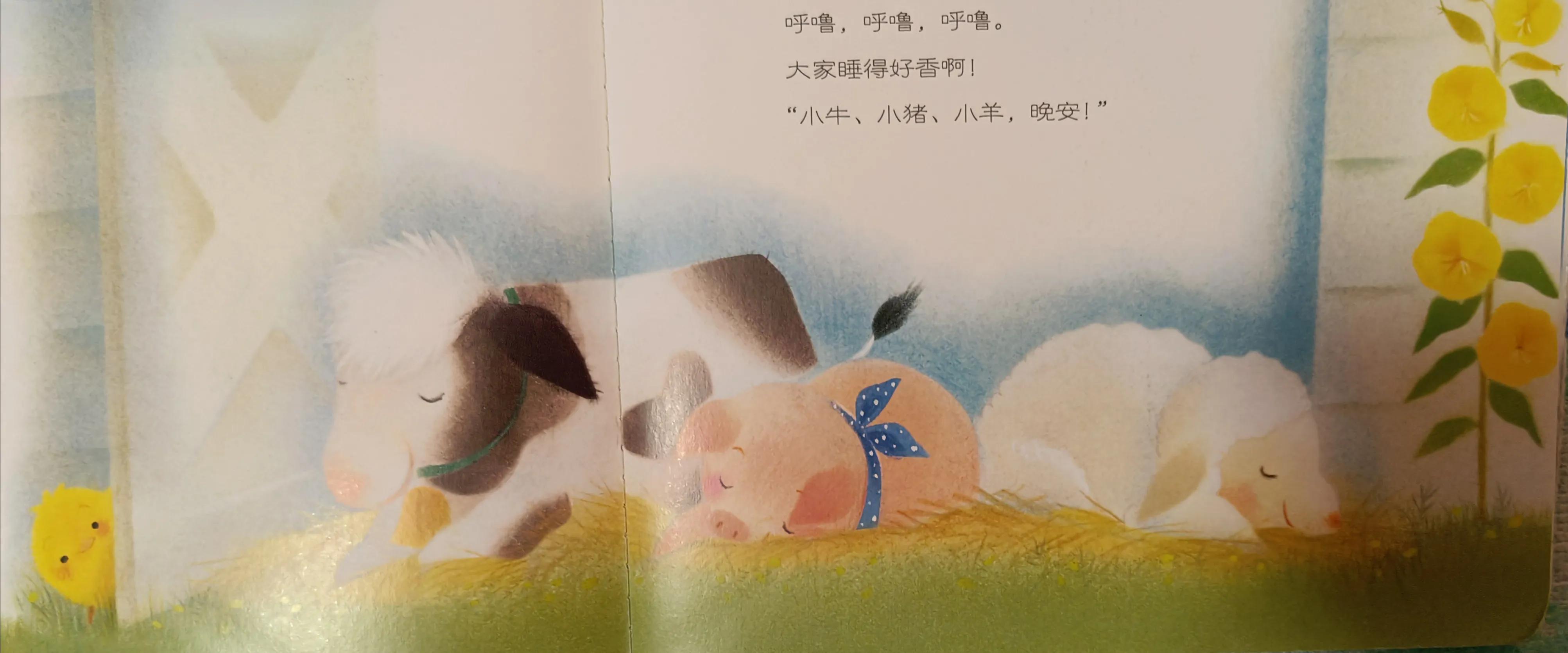 GoodNightChickBall!晚安！小鸡球球！暑假家庭双语剧系列