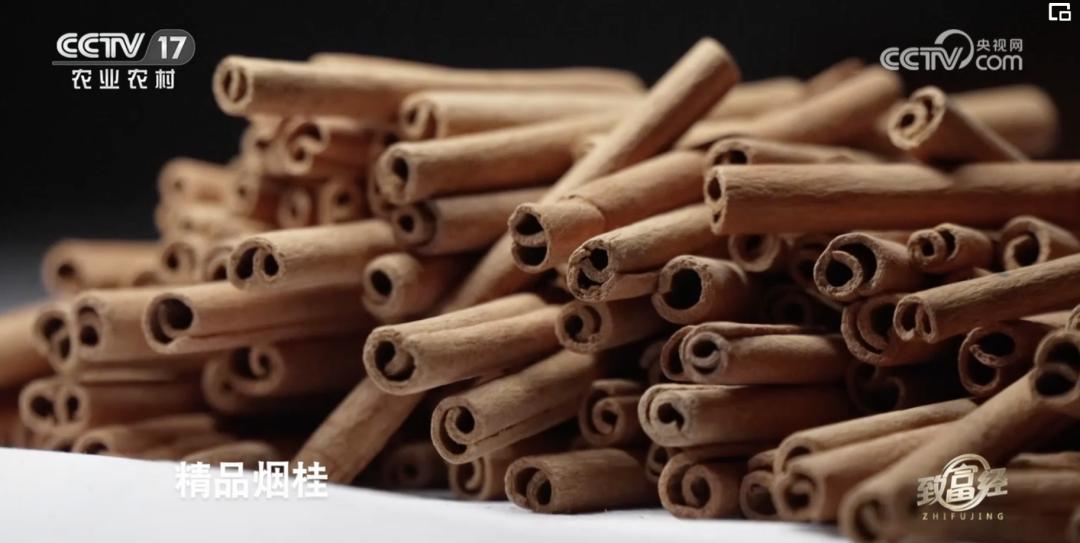 一根“树皮”引发的国际知名品牌