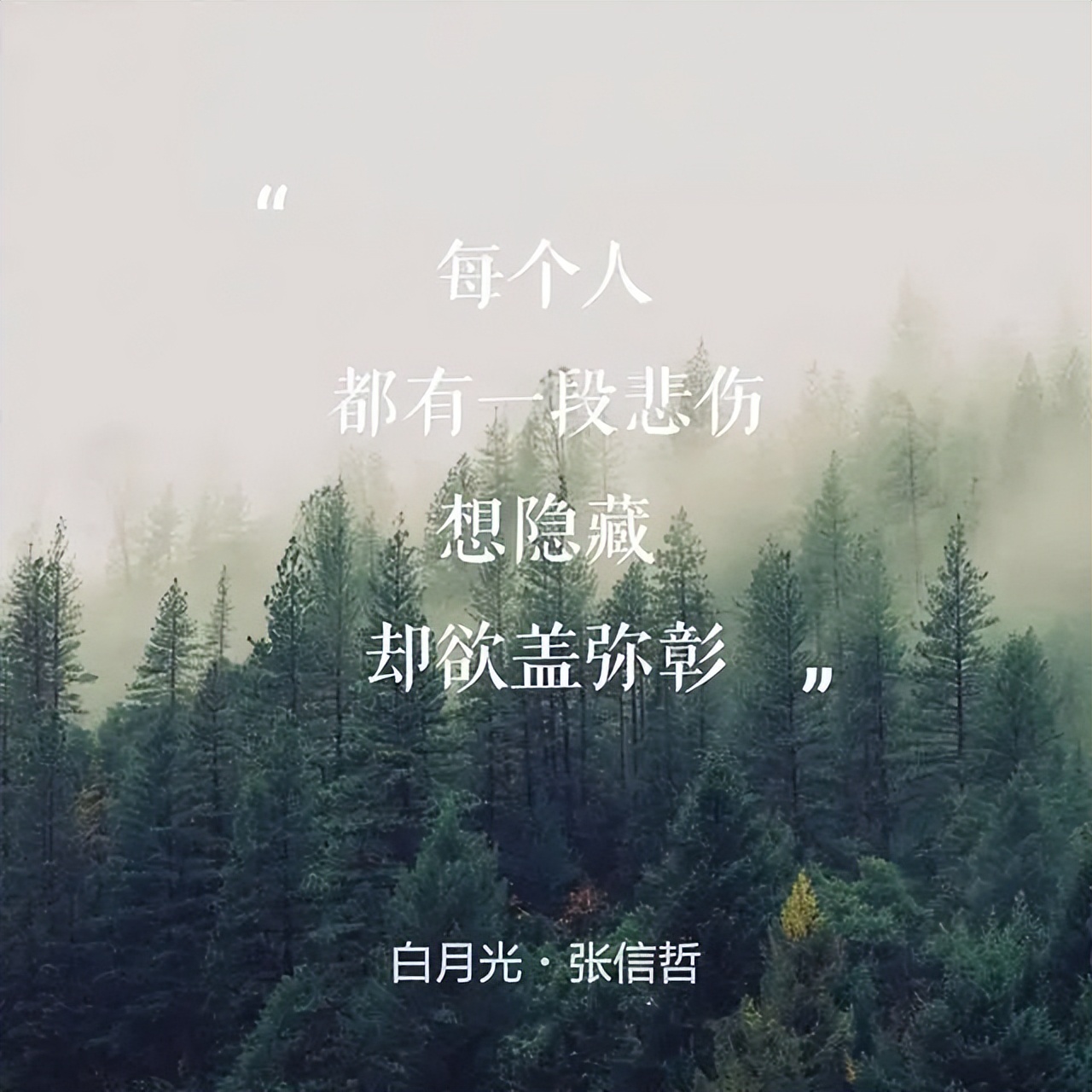 情歌王子张信哲新单,“情歌王子”张信哲的成名之路