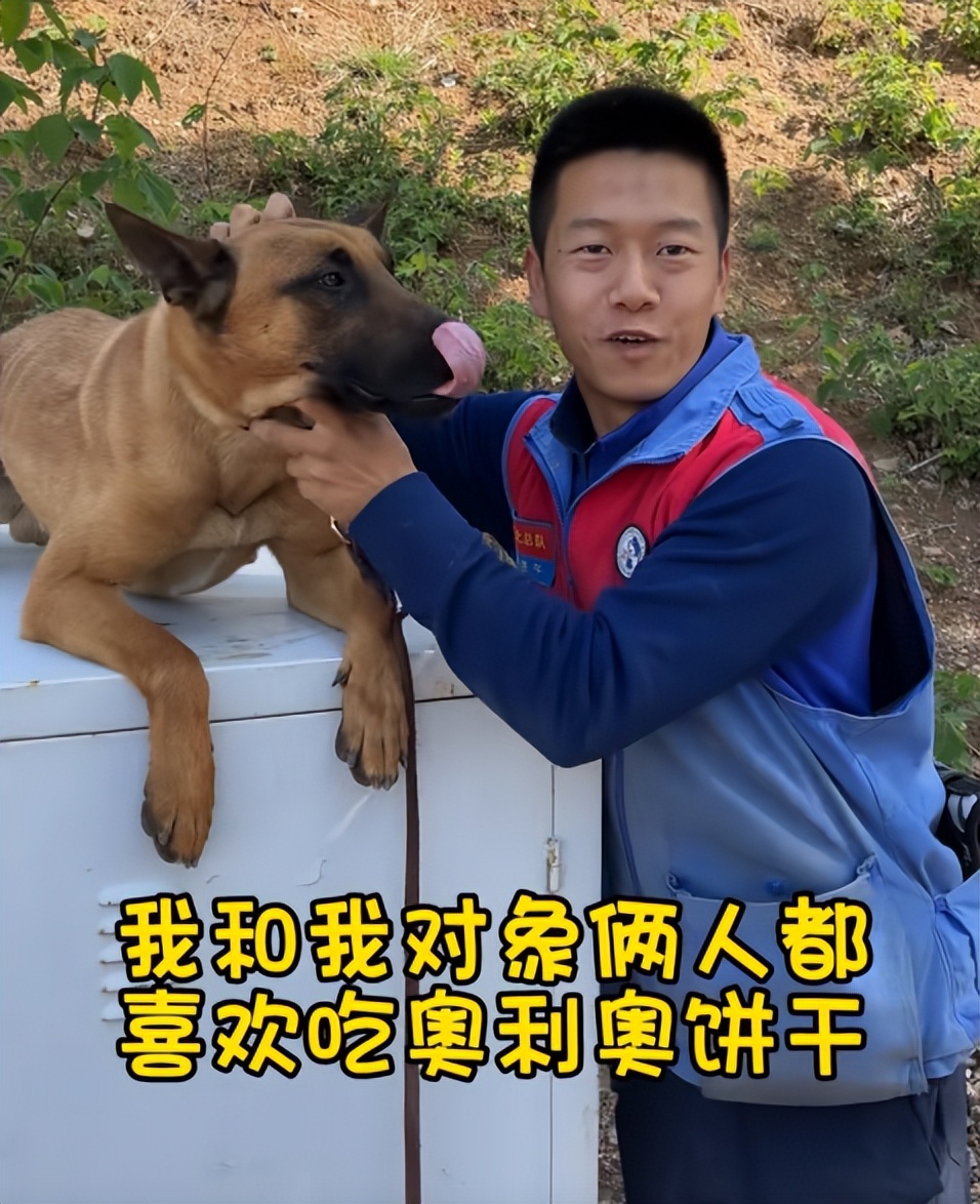 搜救犬起什么名字合适,搜救犬名字怎么取