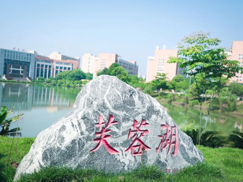 中南林业科技大学涉外学院公办吗,涉外学院中南林业科技大学招生办