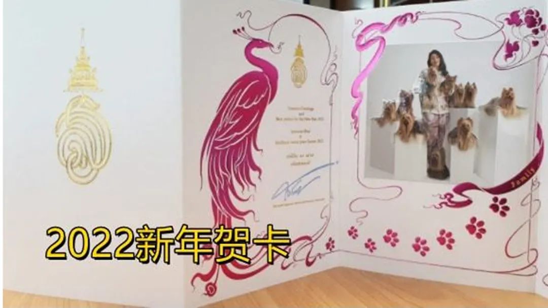思蕊梵如期发布新年贺卡，一年比一年精致，“神兽公主”名不虚传