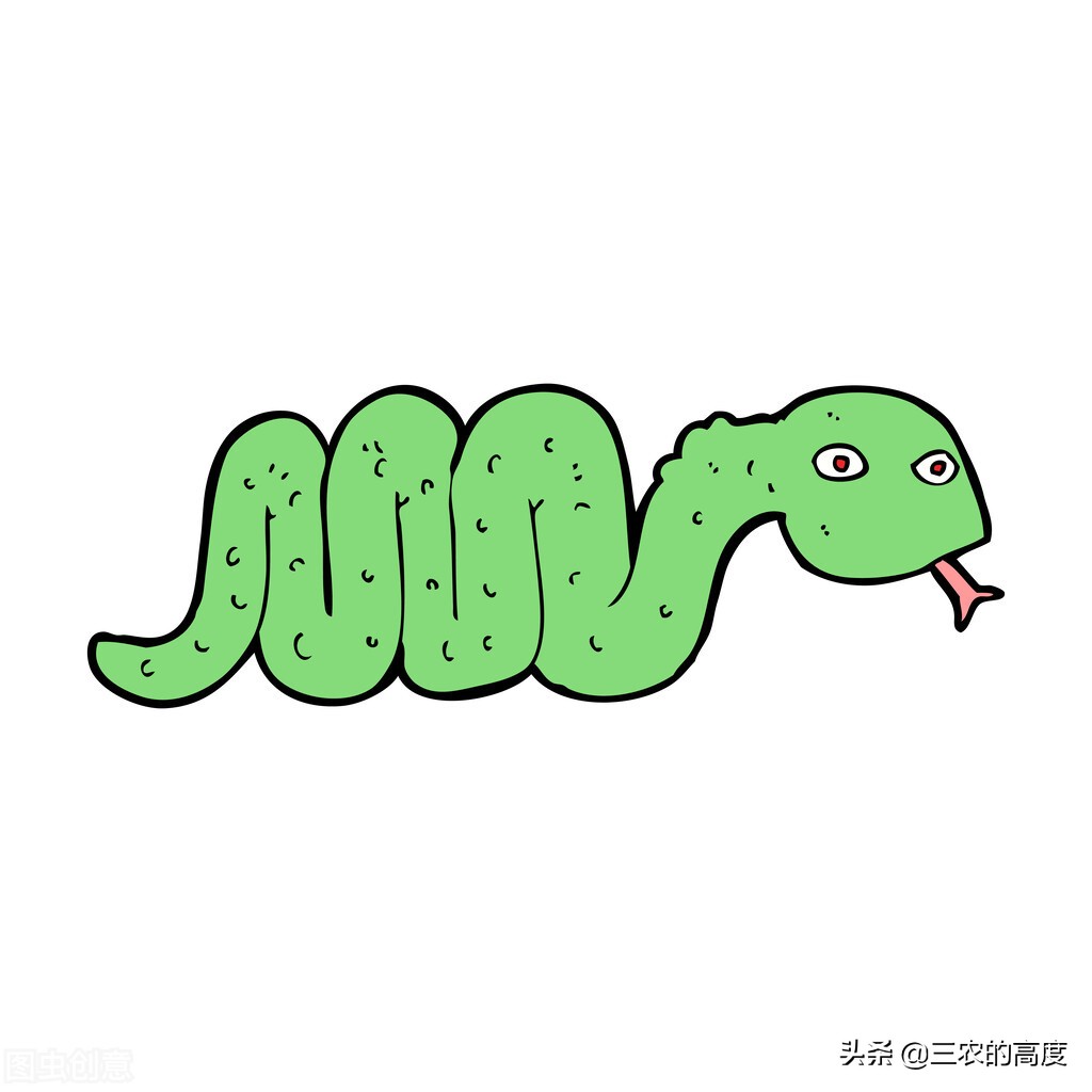 什么蛇最可怕蛇类大全,蛇类都害怕的蛇