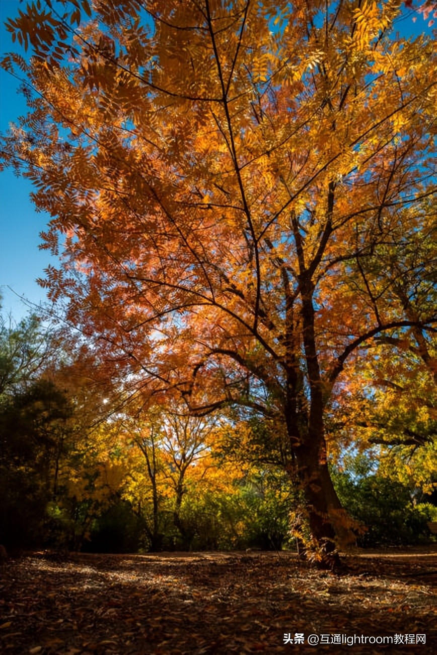 怎样去掉摄影中的紫边,拍摄人像紫边怎么回事
