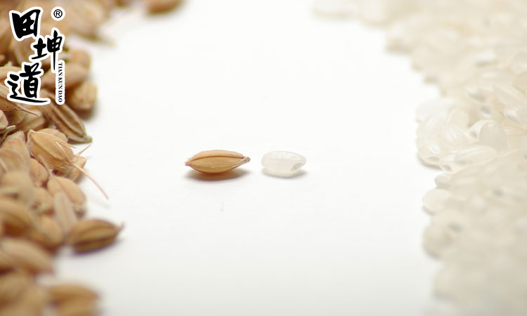 田坤道生态食品有在网上卖吗,田坤道大米销售渠道