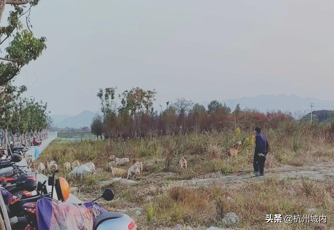 我眼中未来的城市,我眼中的未来科技城绘画