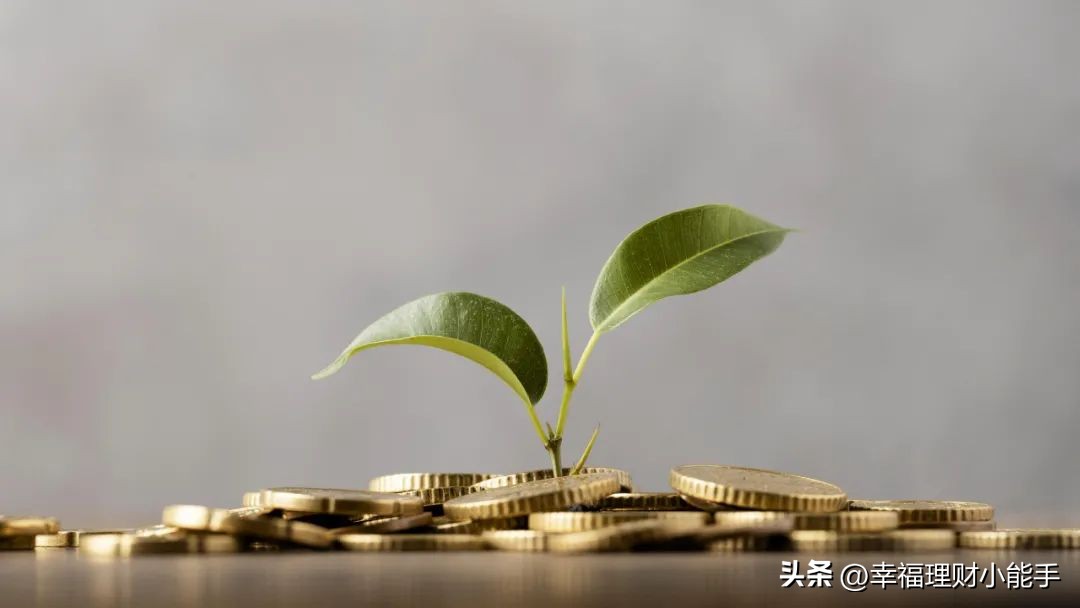 红牛争夺战硝烟再起,红牛面临生死危机