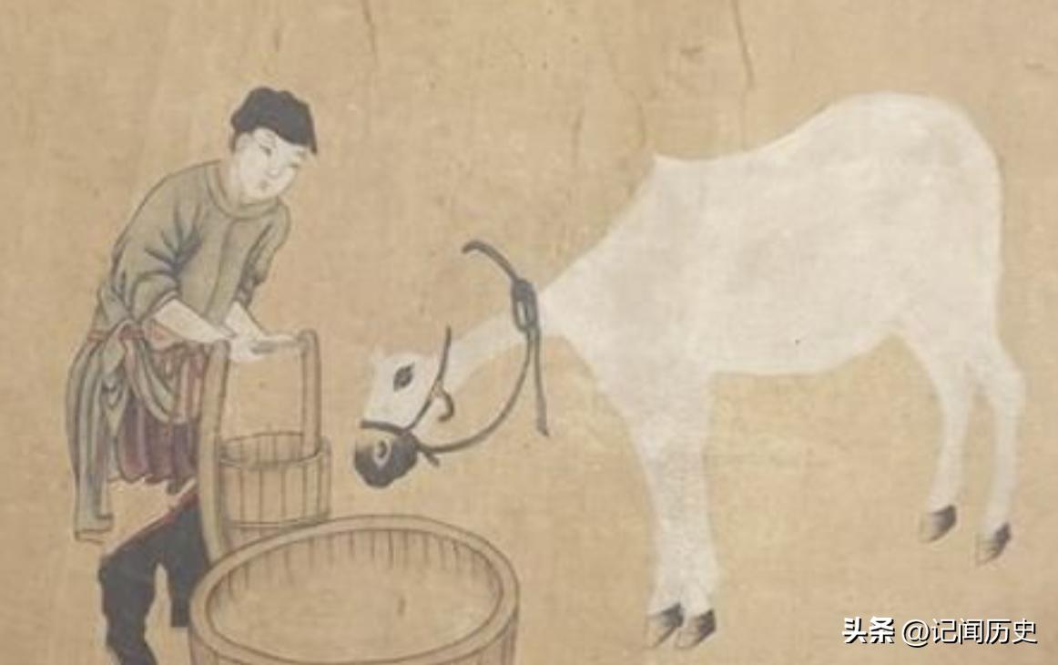 古代马的作用和地位,古代马有什么重要性