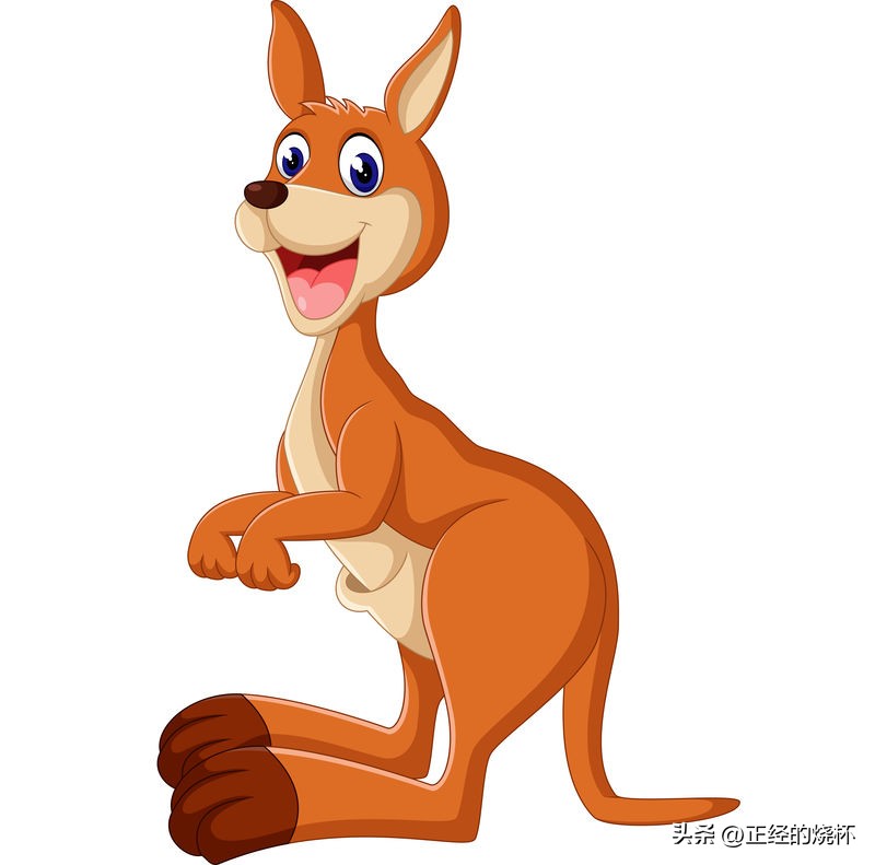 袋鼠动物特性,袋鼠的意义