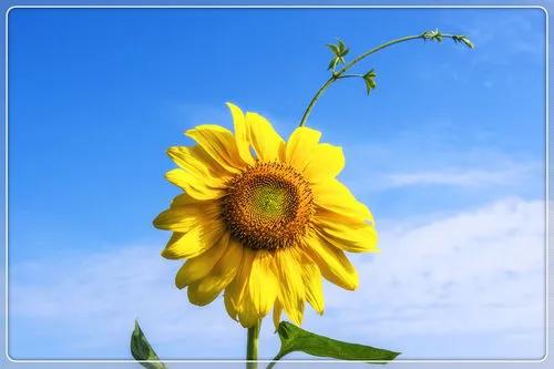 上当受骗故事,一些上当受骗的经历和感悟