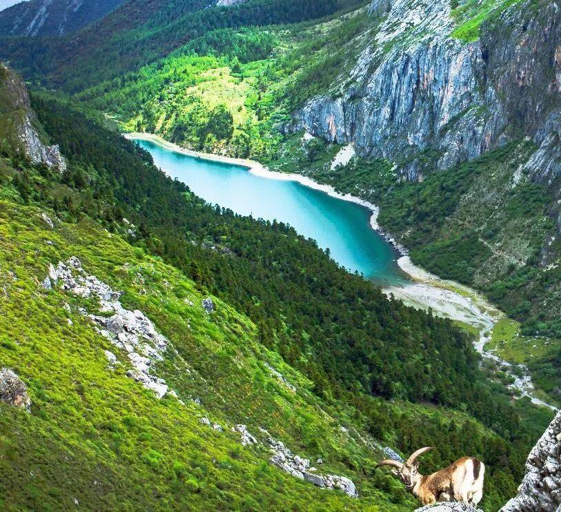 一图在手得心应手,一图在手走遍天下不用愁