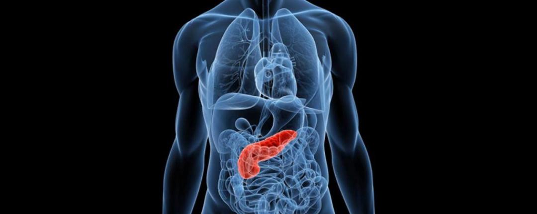 “隐藏高手”胰腺癌的新出路——微生物