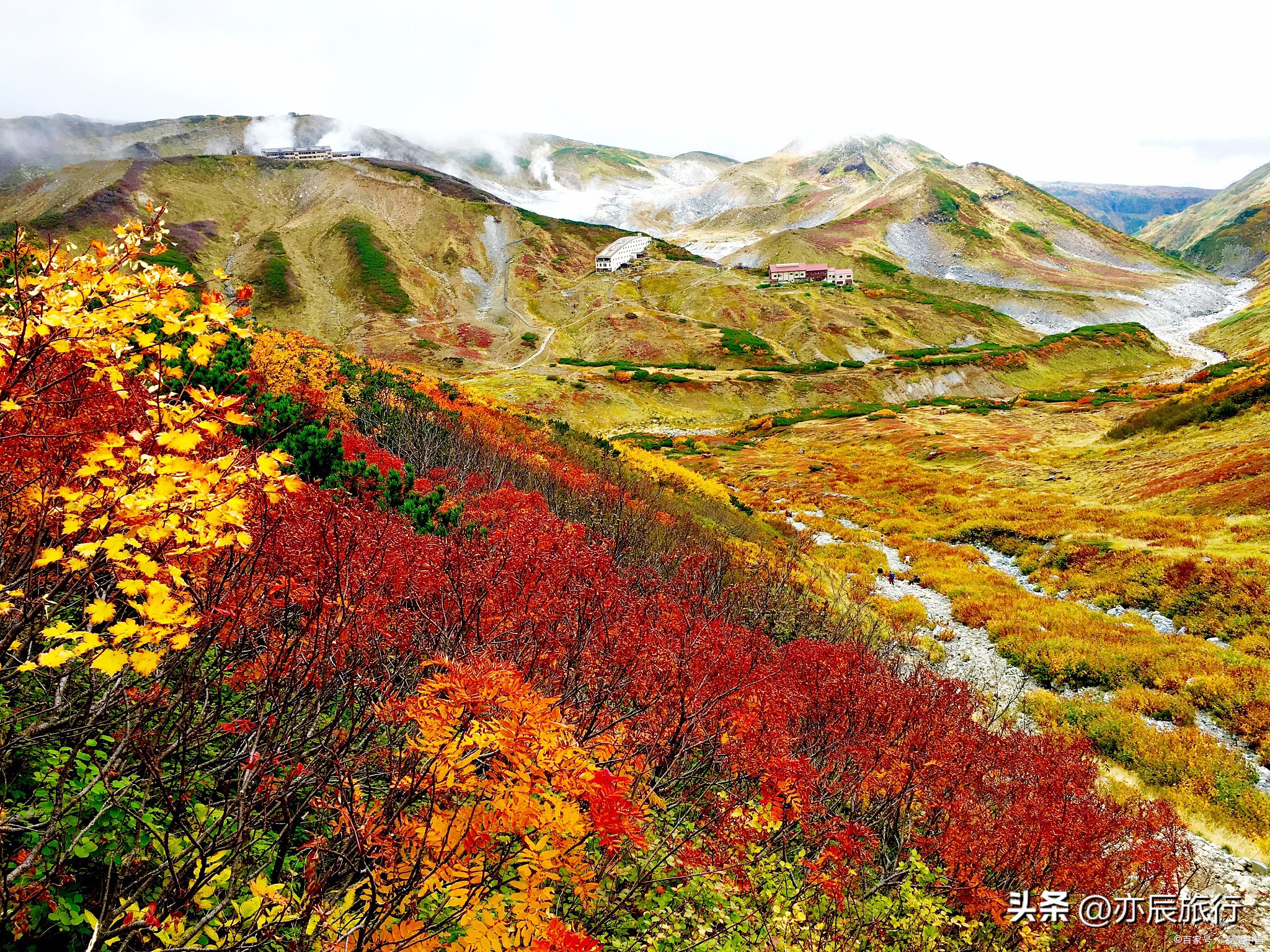 宁夏十一月旅游攻略图,宁夏周末旅游推荐地点最新
