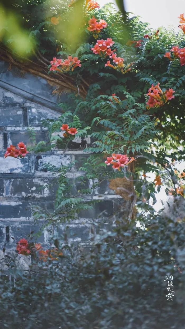 壁纸分享来点养眼的吧,励志文案壁纸超清全面屏