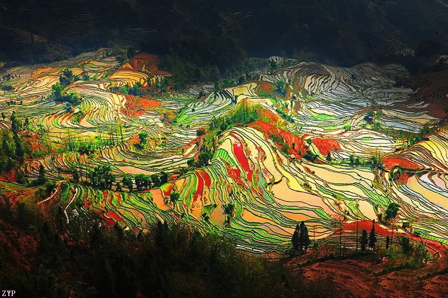 中国人文摄影获奖作品,大美中国摄影作品展获奖