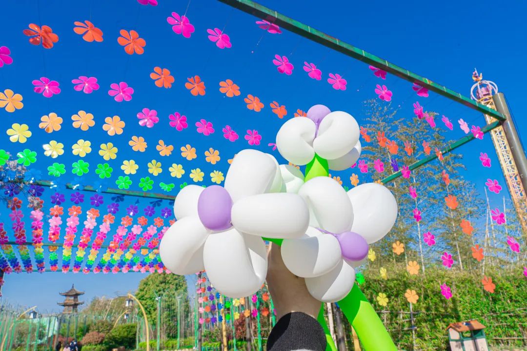 南昌融创乐园重新开业,南昌融创乐园恢复营业