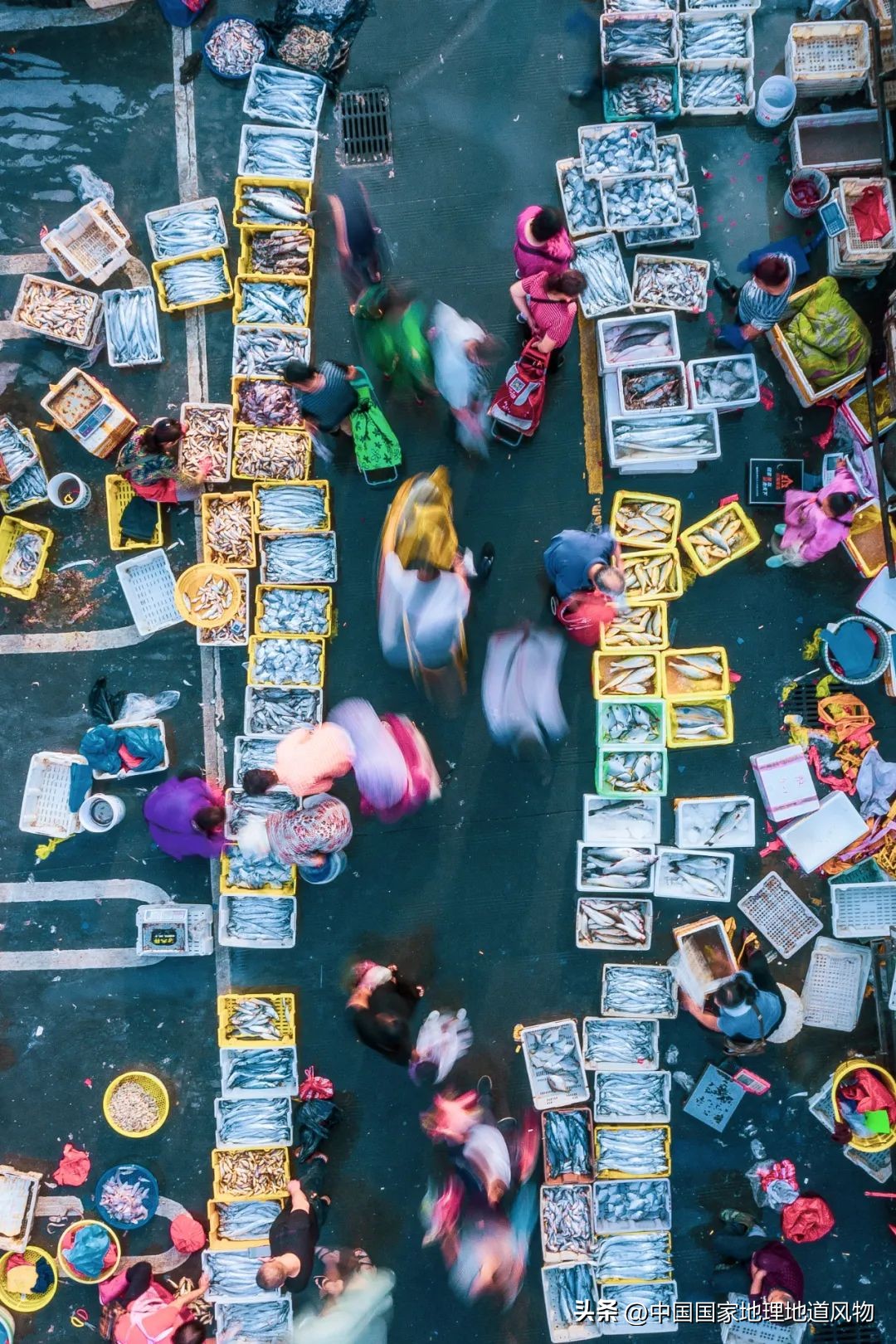 中国第一海鲜大省,中国第一海鲜怎么样