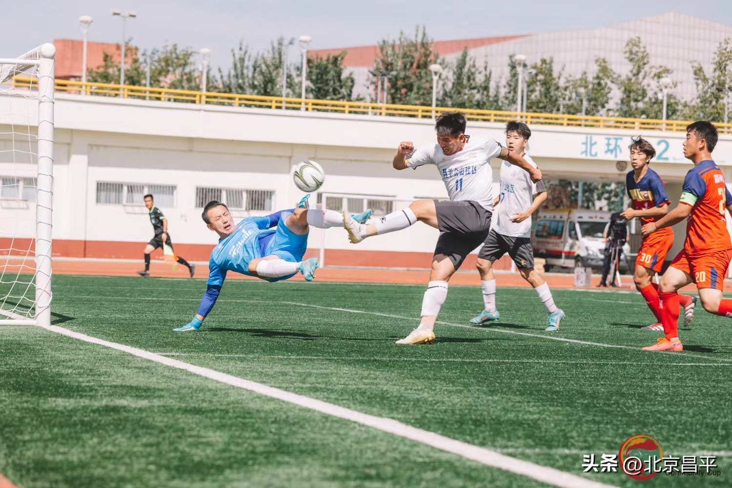 夺冠完整版免费电影,夺冠1-42集完整版免费