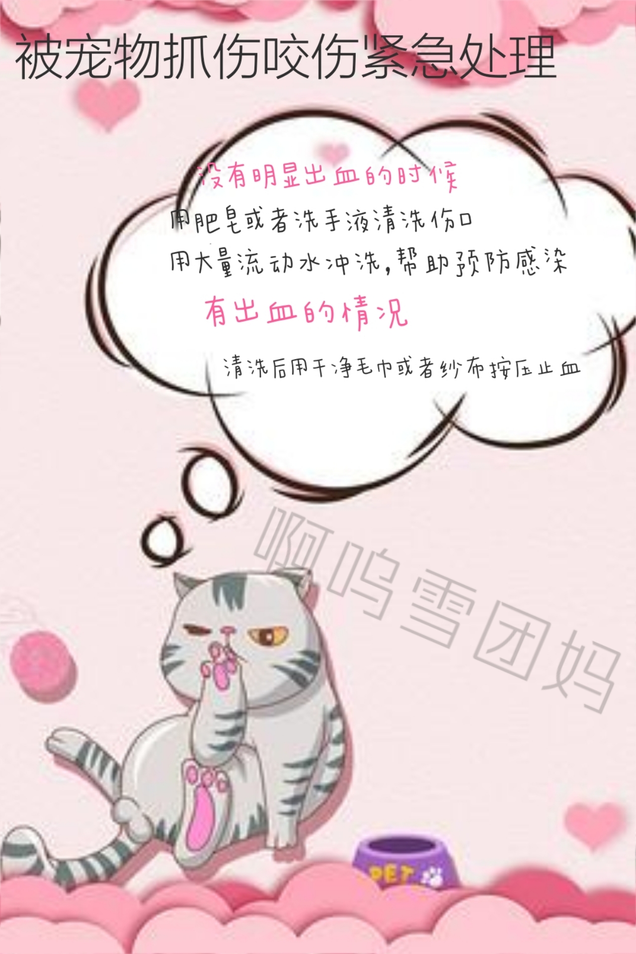 家有小朋友养宠物要注意了,萌宠乐园孩子被猪咬伤