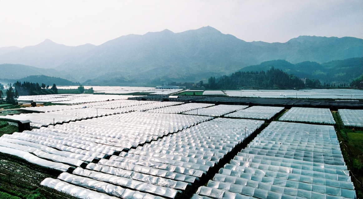 村庄规划需要注意哪些问题,村庄规划项目怎么做