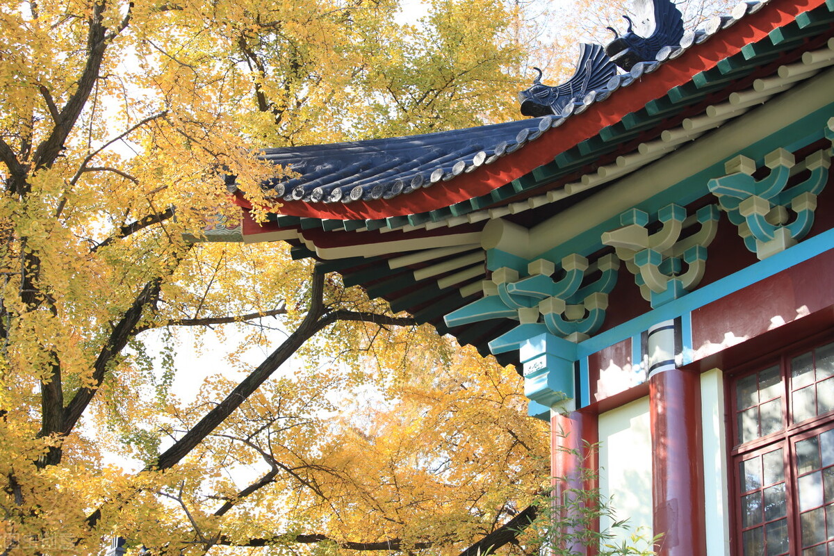 教师教学特色展示,名师教学的秘诀