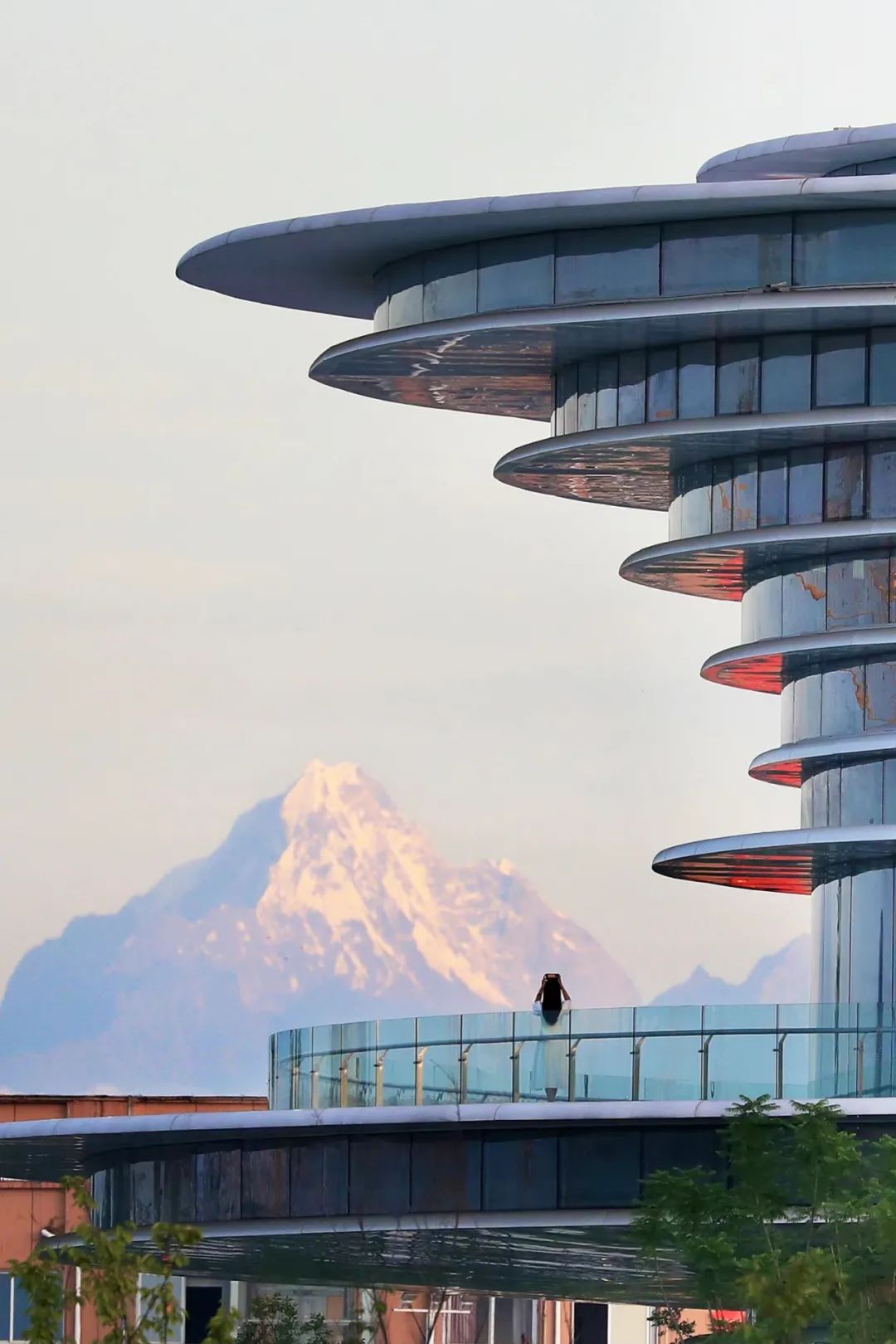 成都向上最新信息,年度向上力量合照