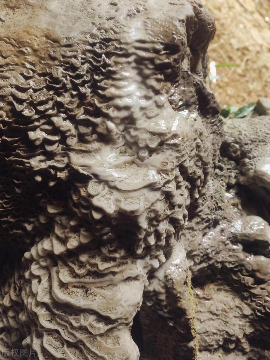 用智慧社区运营的方式,加强社区治理创新社区服务