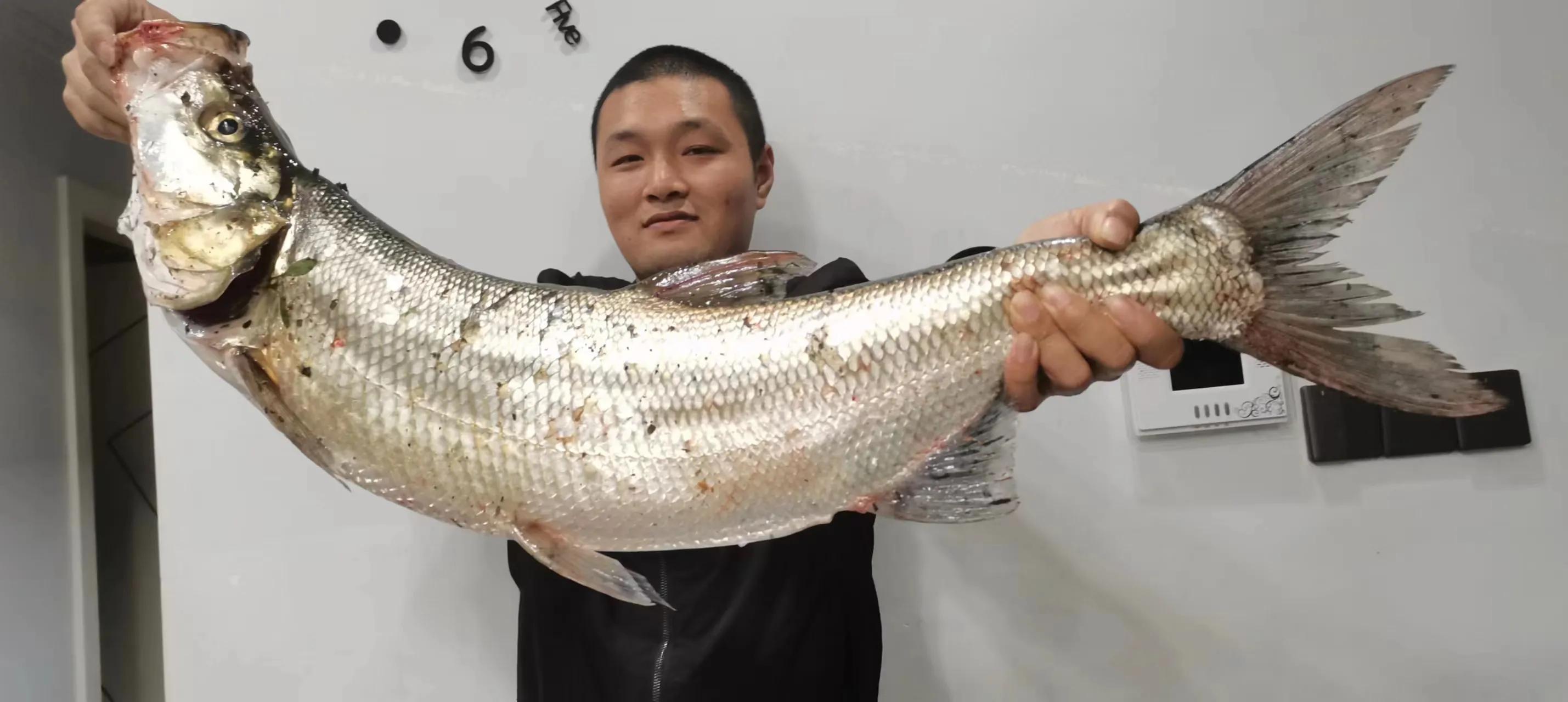 路亚钓翘嘴的正确方法和技巧,路亚翘嘴怎么钓有什么技巧和动作