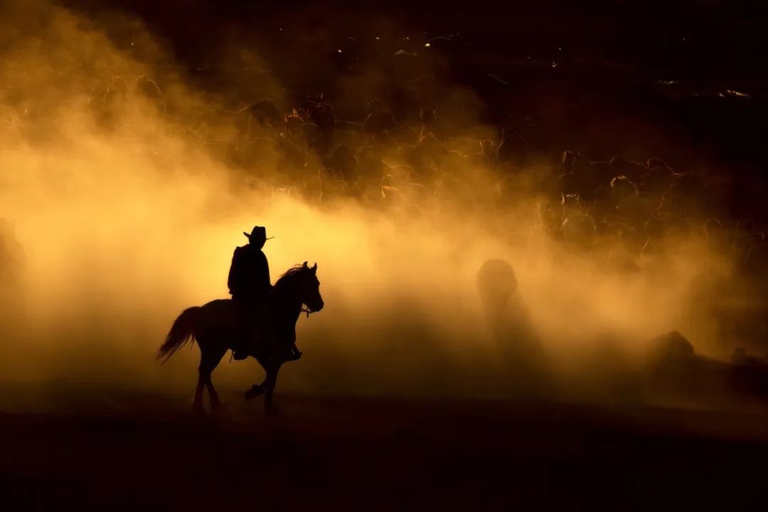 来自五湖四海的大学生摄影爱好者们，在拍些什么？