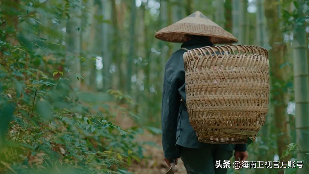 涨“健”识！才知道海南这些名木竟是黎族奇药