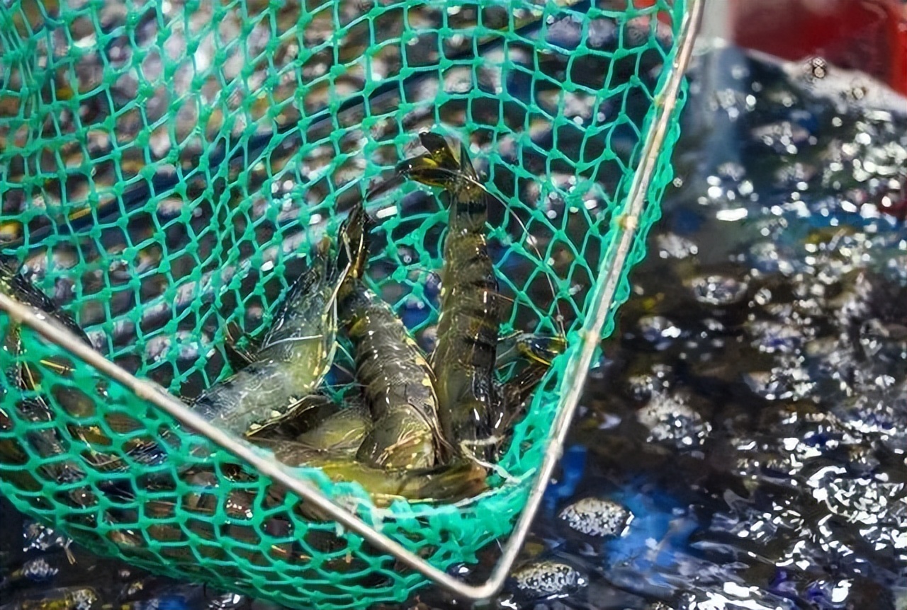 海南三亚旅游攻略景点大全,三亚蜜月旅游攻略7天费用