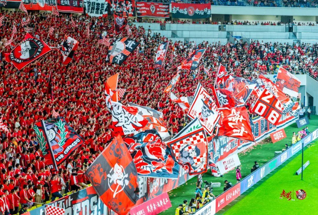 成都蓉城2-1上海海港主场氛围,成都蓉城足球队阵容解析