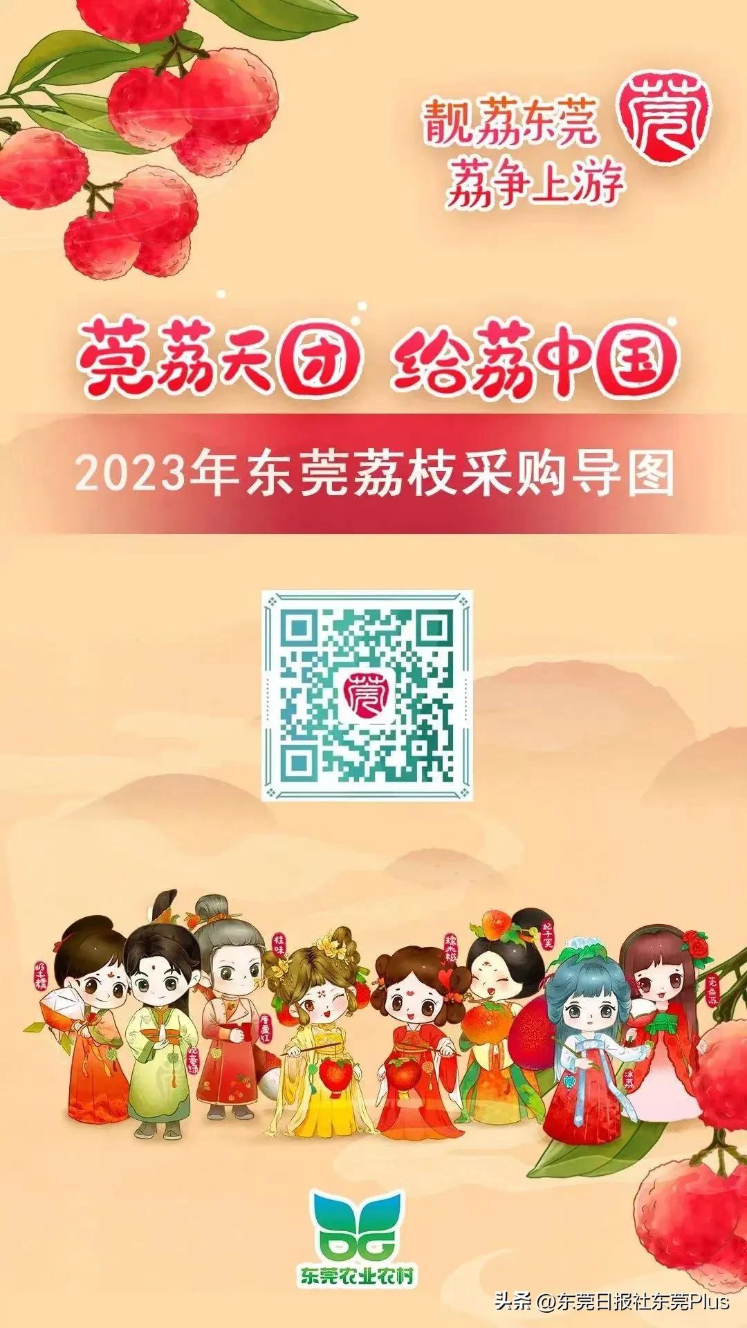 2021年广东荔枝采购导图,2020广东荔枝采购导图