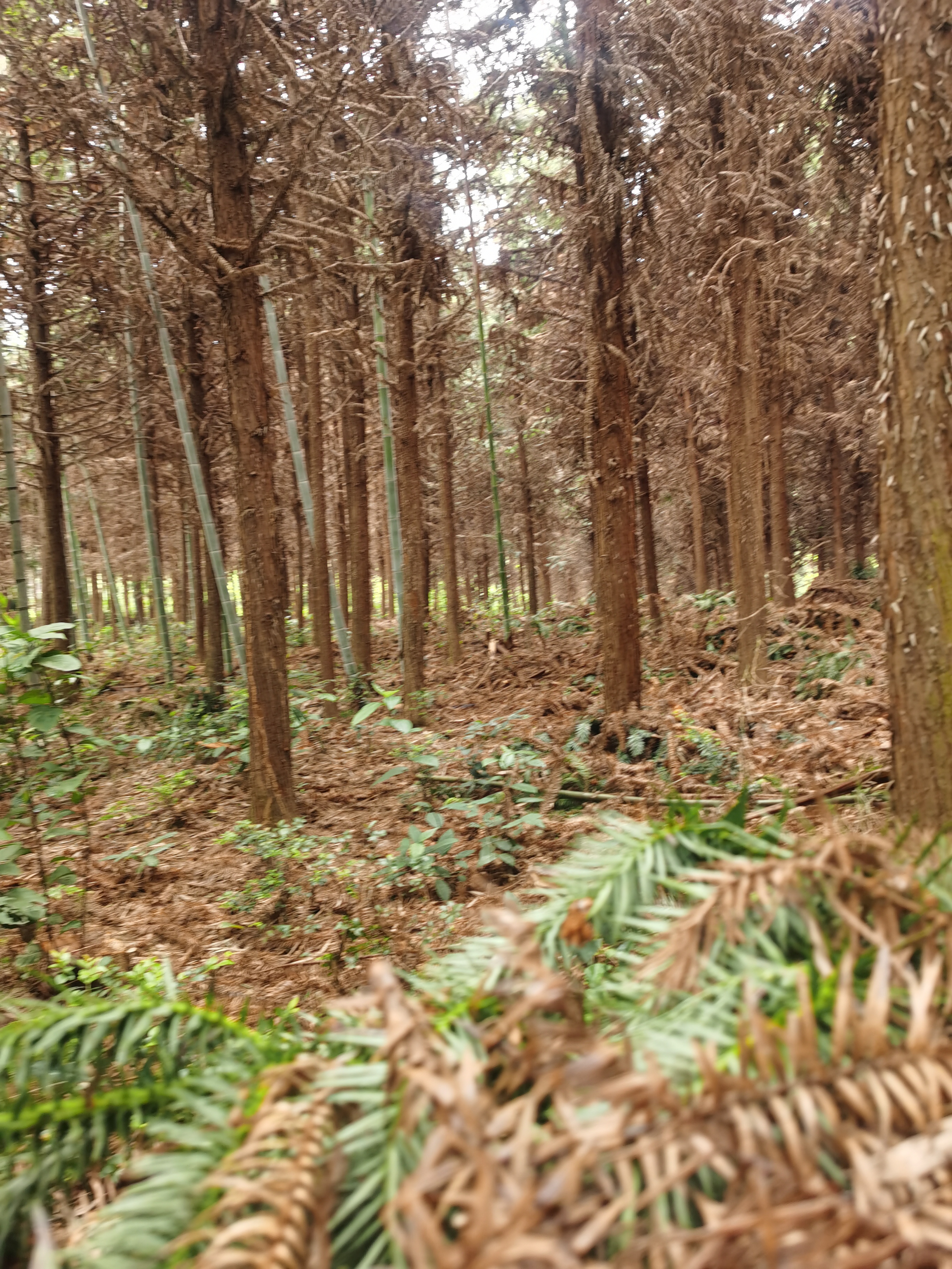 在农村务农一亩地能挣多少钱,种地一亩地能赚500块钱吗