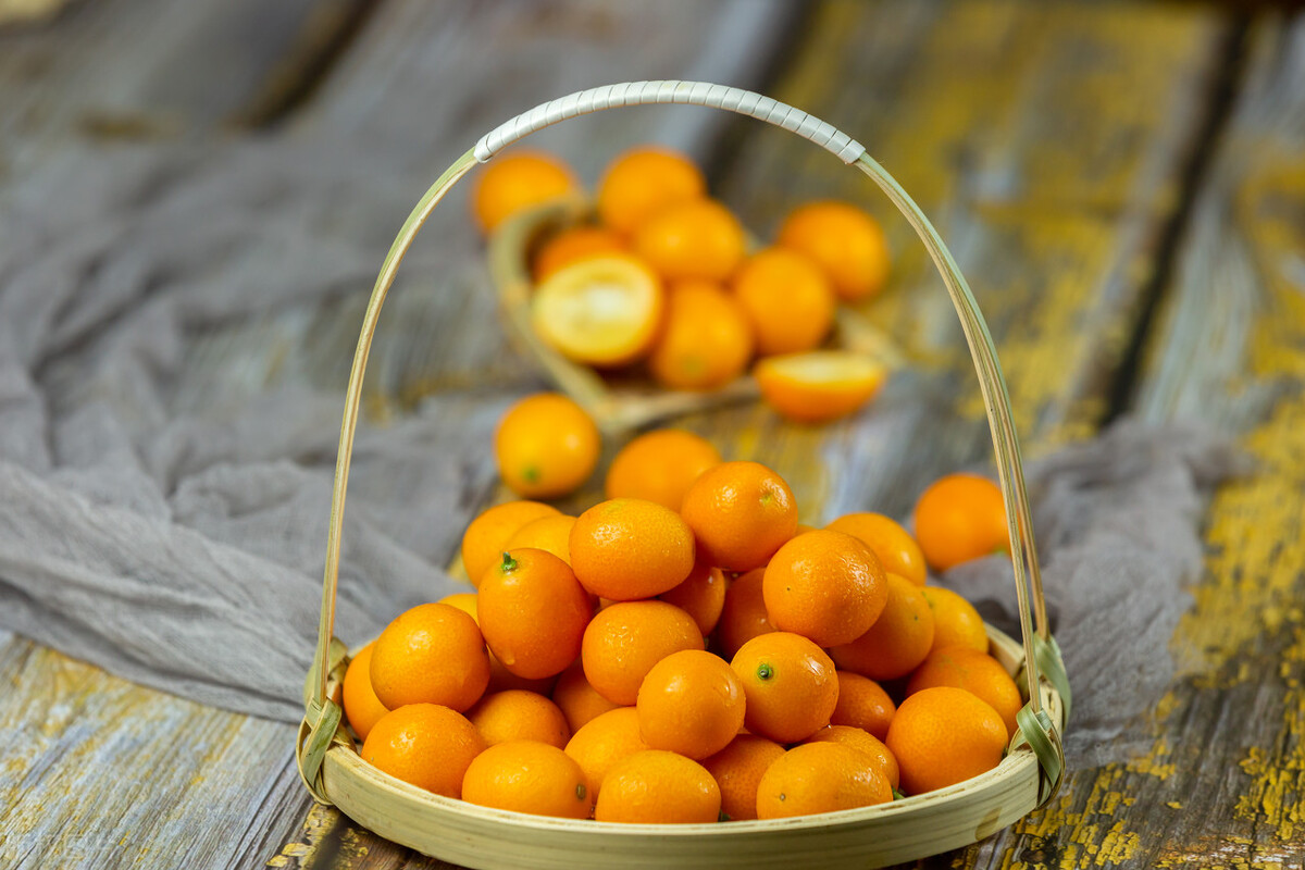 优雅形体礼仪气质提升培训,提升优雅气质的形体训练