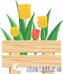 渑池县新时代文明实践,新时代文明实践新风吹进乡村