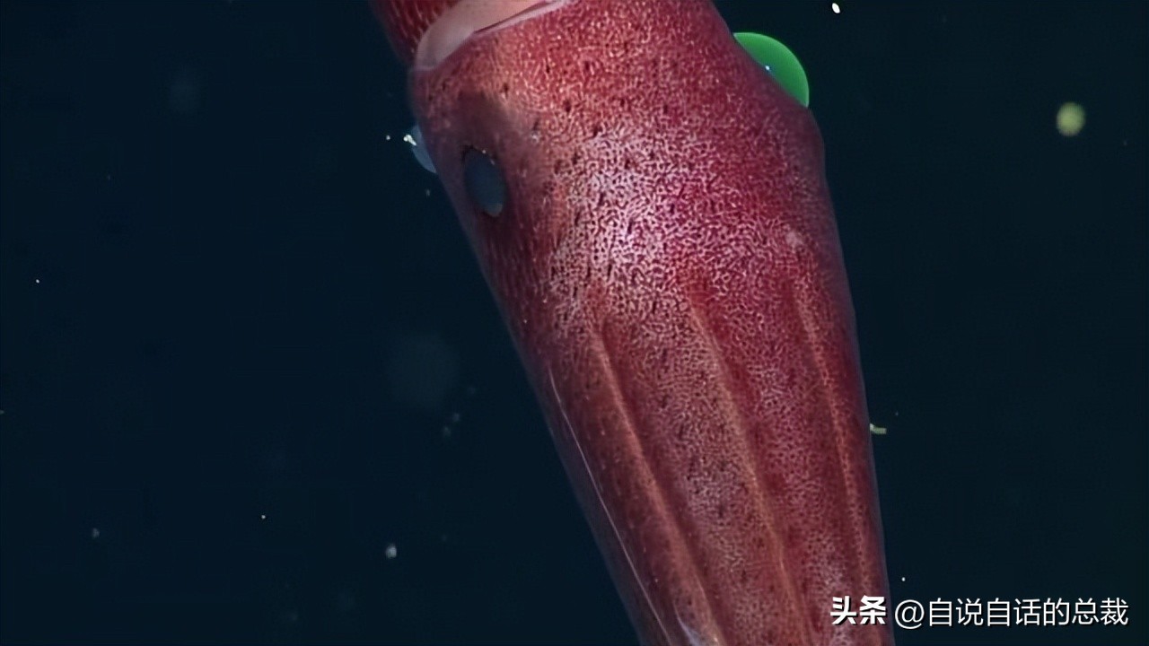 潜入深海寻找宝藏,潜入海底最深处你会发现什么