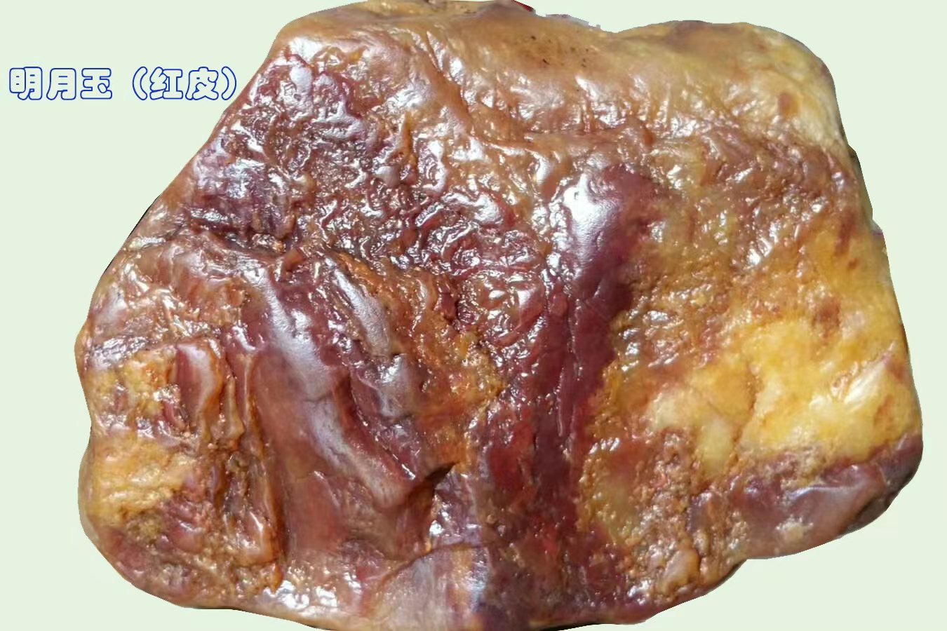 江西明月玉温润纯净多姿多彩（新版）