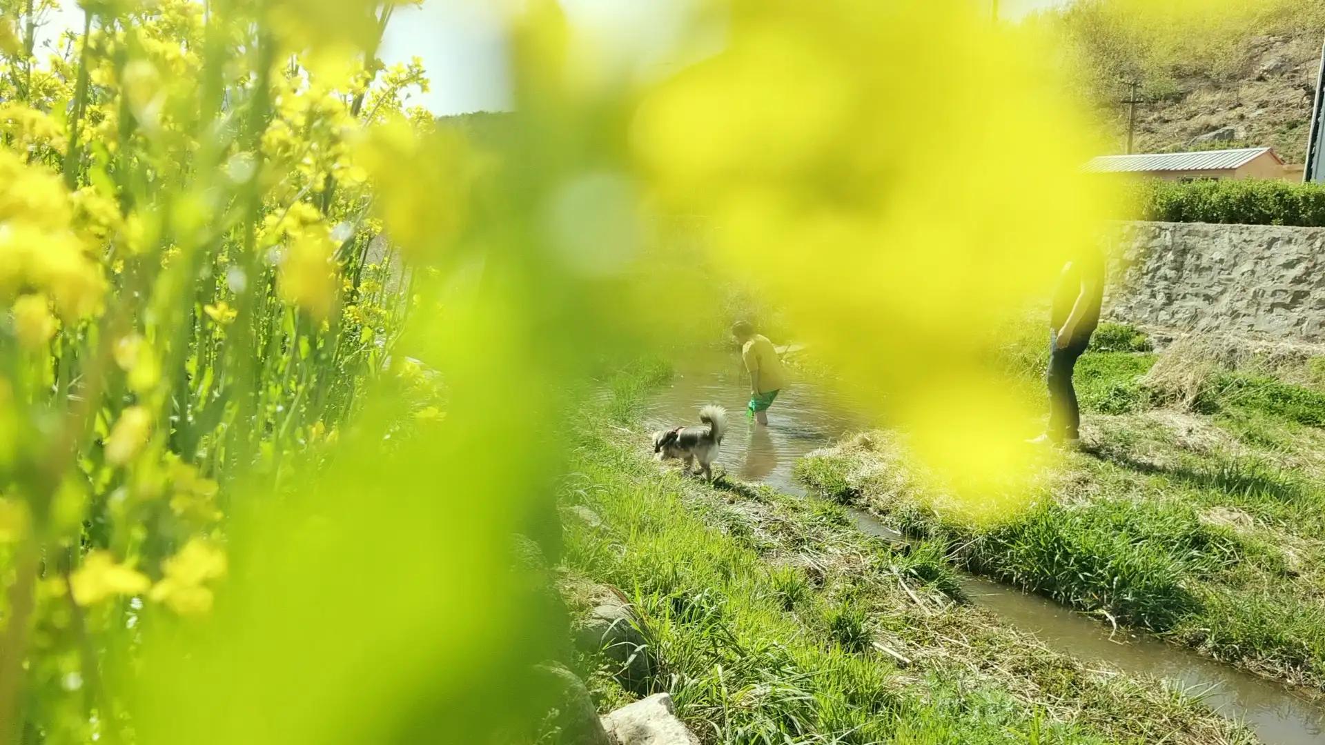 解封后你最想做什么,解封后你最想去的地方