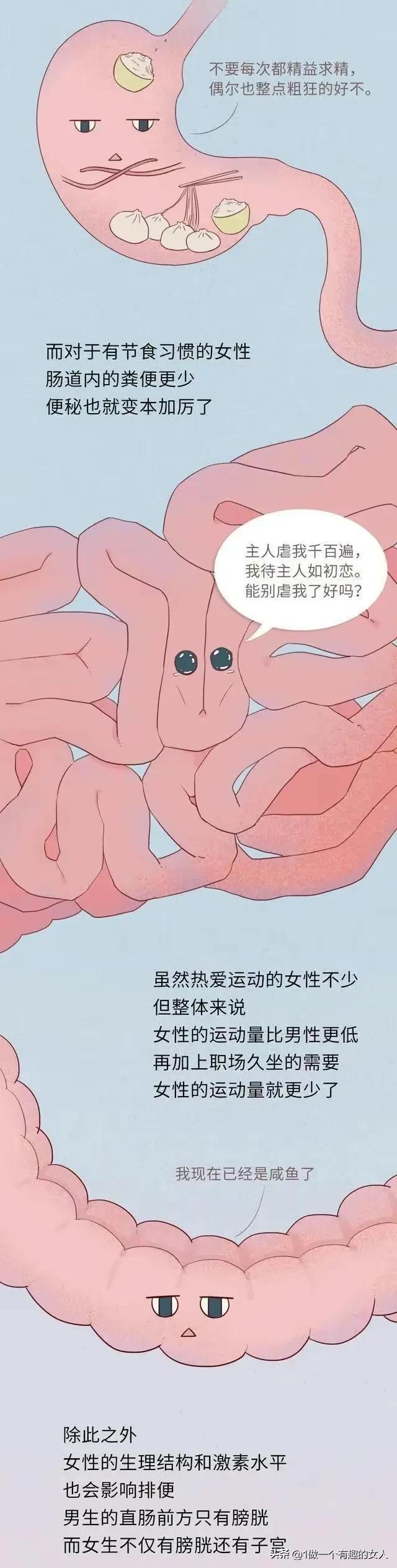 男人为什么一天几次大便,为什么男人一天拉一次大便正常