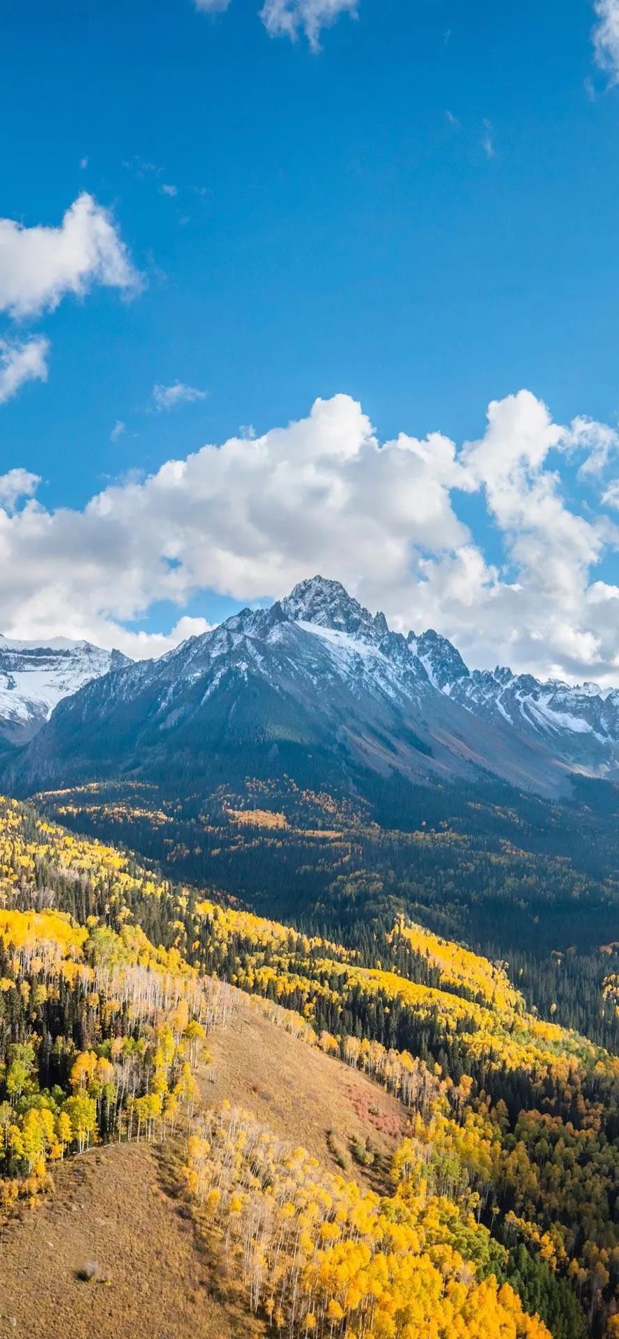 壁纸超清4k幸运壁纸,阴阳师壁纸动态壁纸高清全屏90帧