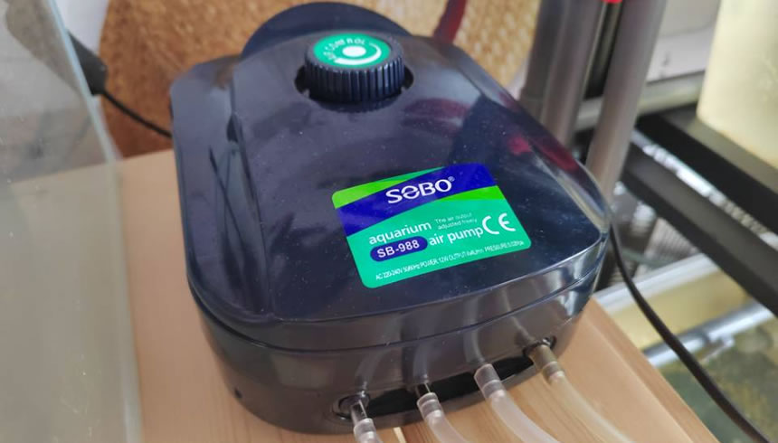 60cm龙鱼鱼缸需要24小时开氧泵吗,什么时候最适合开充氧泵