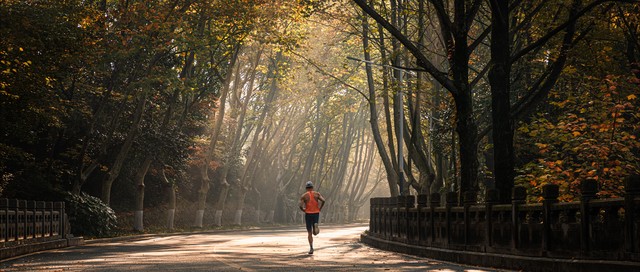 纳瓦尔读书笔记,《纳瓦尔宝典》听书分享