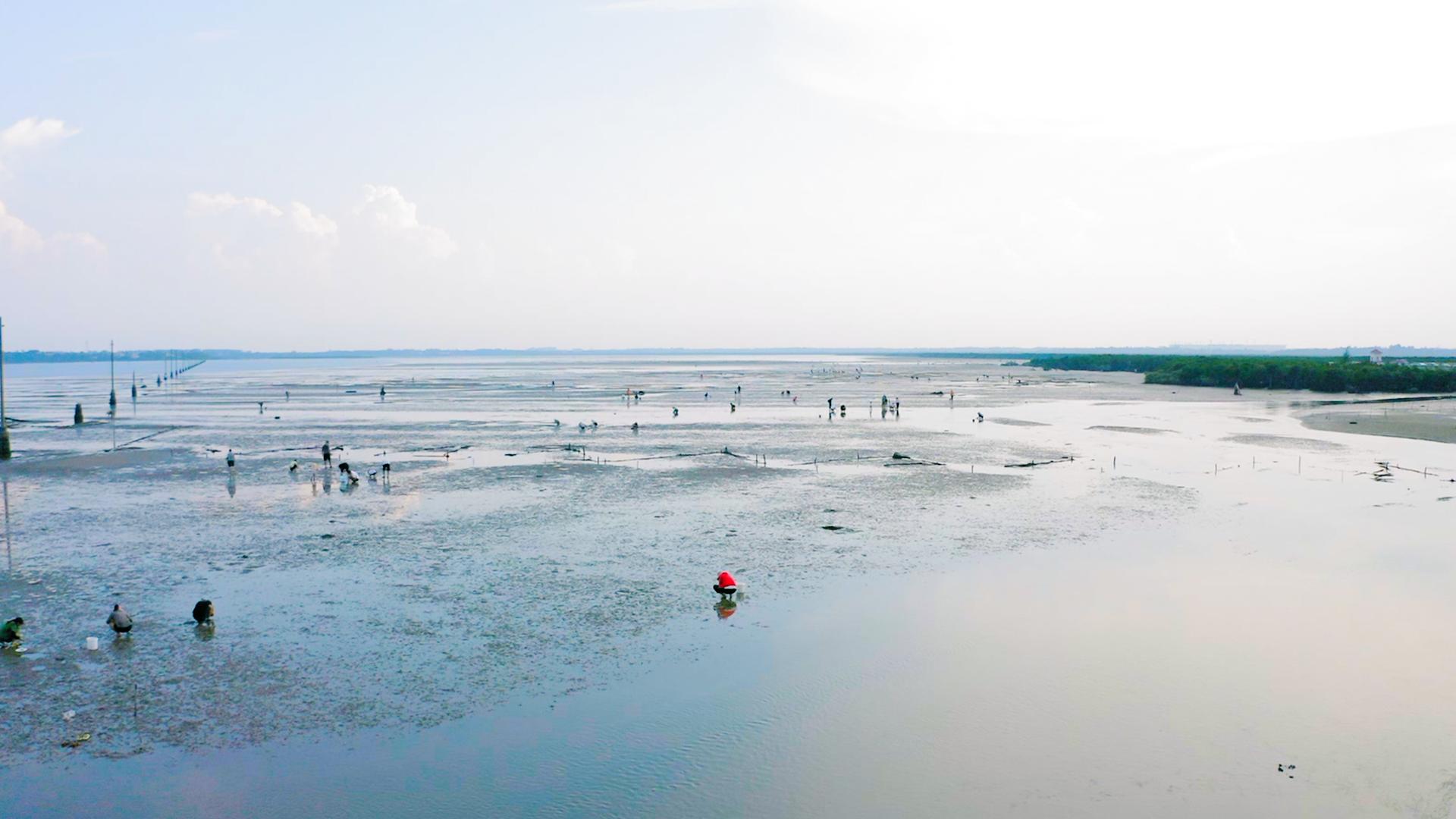 我家门前有一座桥,我家门前有一座大桥造句