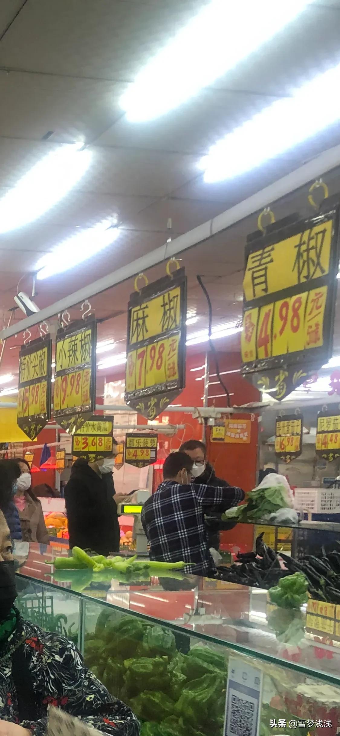 吉林白菜最新价格,吉林80元一棵的白菜